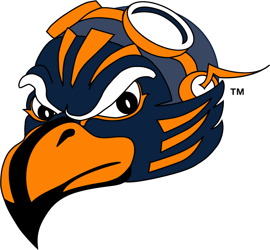 Tennessee-Martin Skyhawks 2007-2020 Mascot Logo diy iron on heat transfer